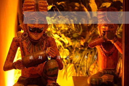 逾期结清合同单号