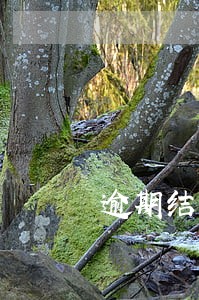 逾期结清后5年后还能查到吗