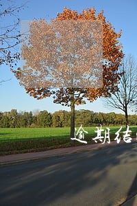逾期结清后5年逾期了账户会消吗 逾期结清后5年逾期了账户会消吗