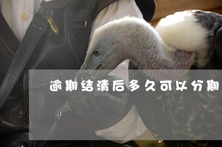 逾期结清后多久可以分期买车 逾期结清后多久可以分期买车