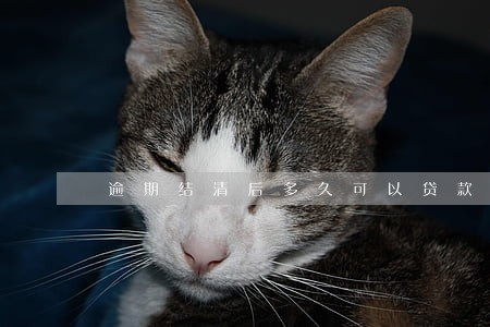 逾期结清后多久可以贷款 逾期结清后多久可以贷款