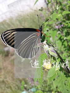 逾期结清后果 逾期结清后果