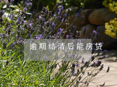 逾期结清后能房贷 逾期结清后能房贷