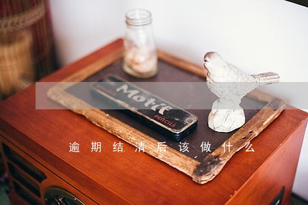 逾期结清后该做什么 逾期结清后该做什么