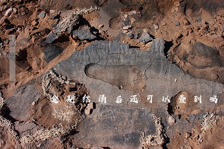 逾期结清后还可以查到吗 逾期结清后还可以查到吗