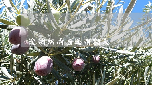 逾期结清后还有额度 逾期结清后还有额度