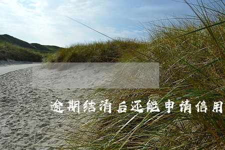 逾期结清后还能申请信用卡吗