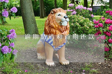 逾期结清和首期还款 逾期结清和首期还款