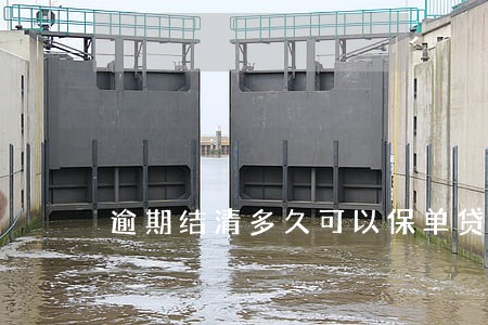 逾期结清多久可以保单贷款 逾期结清多久可以保单贷款