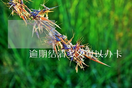 逾期结清多久可以办卡 逾期结清多久可以办卡