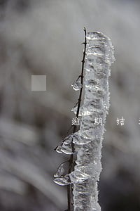 逾期结清多久才能再贷款 逾期结清多久才能再贷款