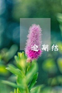 逾期结清多久能恢复征信 逾期结清多久能恢复征信