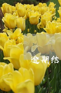 逾期结清多久能看到结清