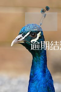 逾期结清开结清证明