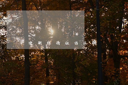 逾期结清征信注销 逾期结清征信注销