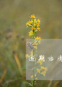 逾期结清找催收还是找平台 逾期结清找催收还是找平台