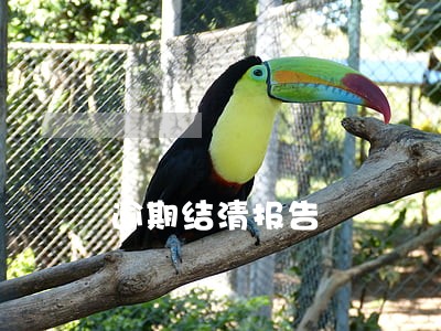 逾期结清报告