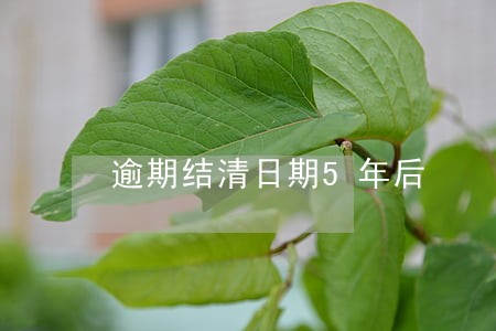 逾期结清日期5年后 逾期结清日期5年后