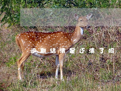 逾期结清是还清了吗 逾期结清是还清了吗
