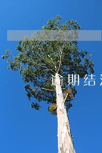 逾期结清注意事项 逾期结清注意事项