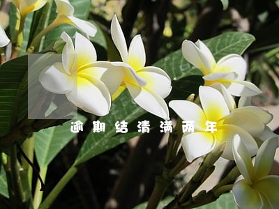 逾期结清满两年 逾期结清满两年