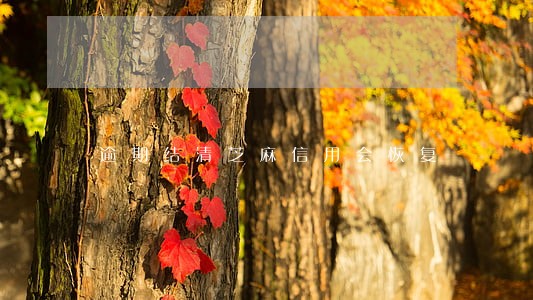 逾期结清芝麻信用会恢复 逾期结清芝麻信用会恢复
