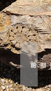 逾期结清要多久房贷