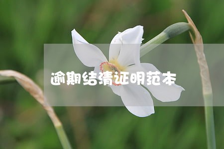 逾期结清证明范本 逾期结清证明范本