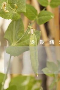 逾期结清销卡销户 逾期结清销卡销户