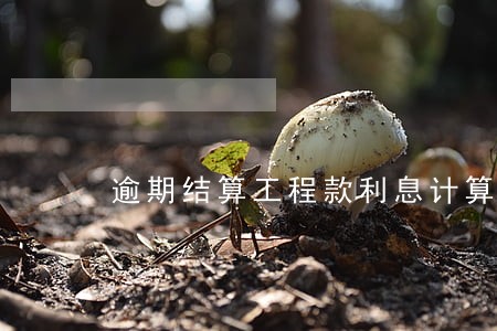 逾期结算工程款利息计算 逾期结算工程款利息计算