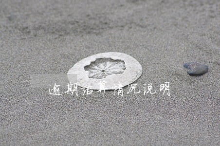 逾期结算情况说明
