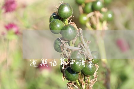 逾期结算申请书 逾期结算申请书