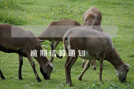 逾期结算通知 逾期结算通知