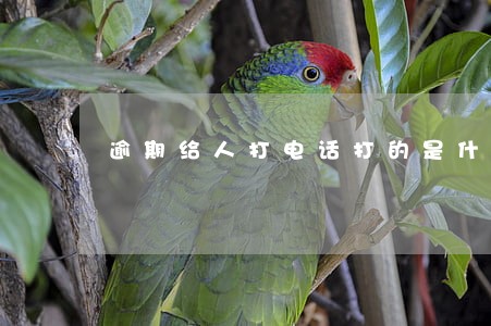 逾期给人打电话打的是什么号码