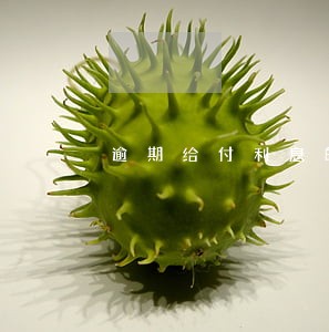 逾期给付利息的法律依据