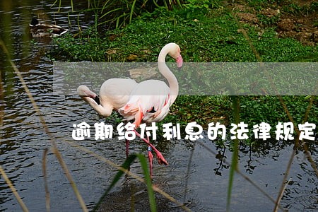逾期给付利息的法律规定