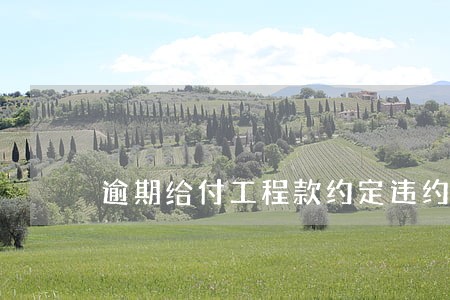 逾期给付工程款约定违约金