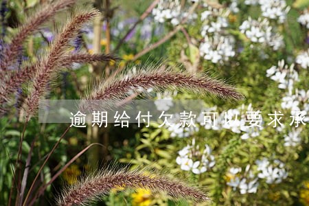 逾期给付欠款可以要求承担利息吗 逾期给付欠款可以要求承担利息吗