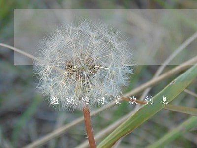 逾期给付货款利息 逾期给付货款利息