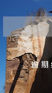 逾期给付货款未约定利息 逾期给付货款未约定利息