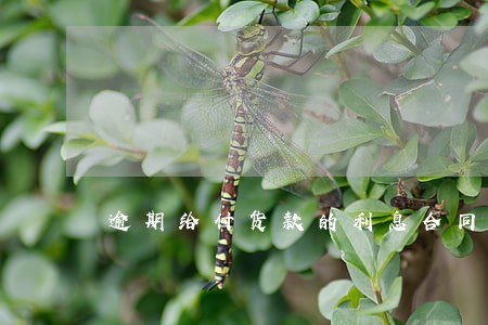 逾期给付货款的利息合同法 逾期给付货款的利息合同法