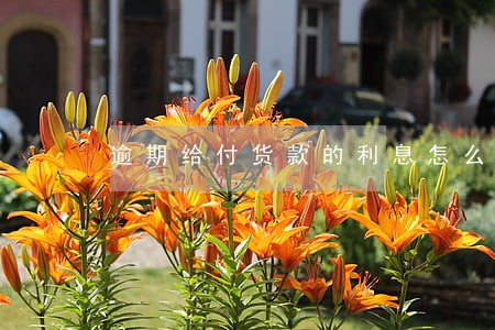 逾期给付货款的利息怎么计算 逾期给付货款的利息怎么计算