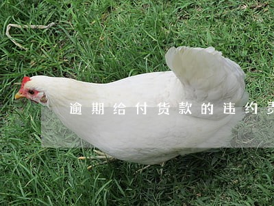 逾期给付货款的违约责任 逾期给付货款的违约责任