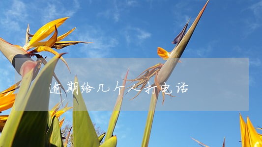 逾期给几个人打电话 逾期给几个人打电话