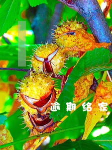逾期给家人发律师函 逾期给家人发律师函