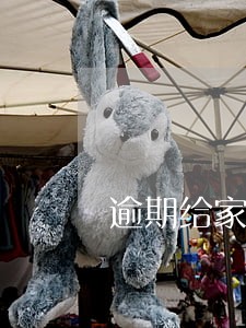 逾期给家人打电话还用还吗 逾期给家人打电话还用还吗