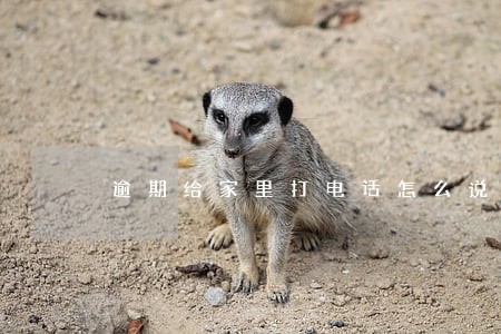 逾期给家里打电话怎么说的
