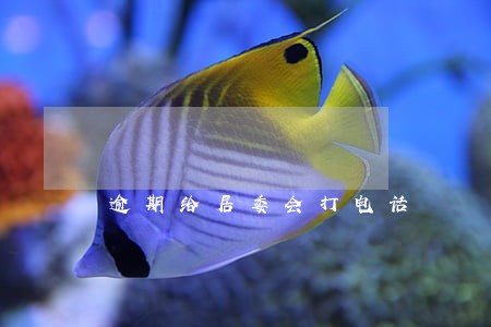 逾期给居委会打电话 逾期给居委会打电话