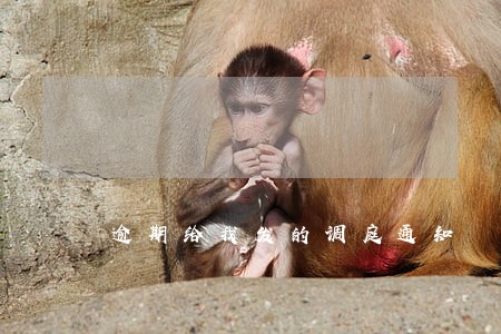 逾期给我发的调庭通知 逾期给我发的调庭通知