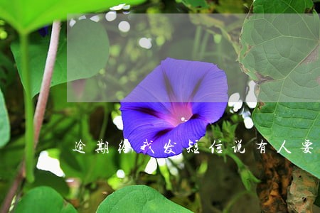 逾期给我发短信说有人要过来